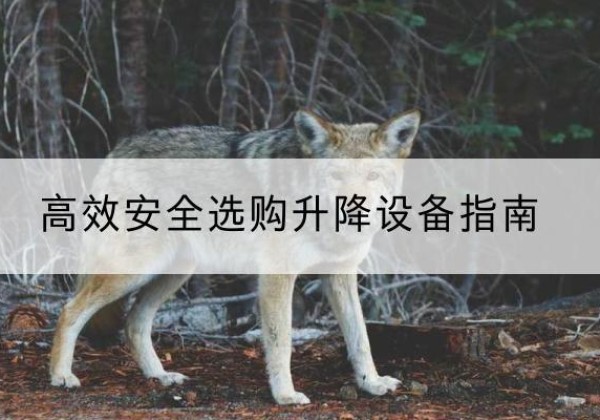 邻水升降货梯厂家推荐-*安全选购升降设备指南