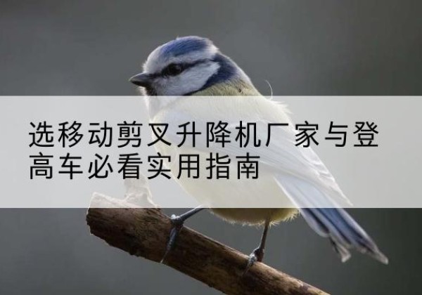 邻水电动升降机厂家-选移动剪叉升降机厂家与登高车必看实用指南